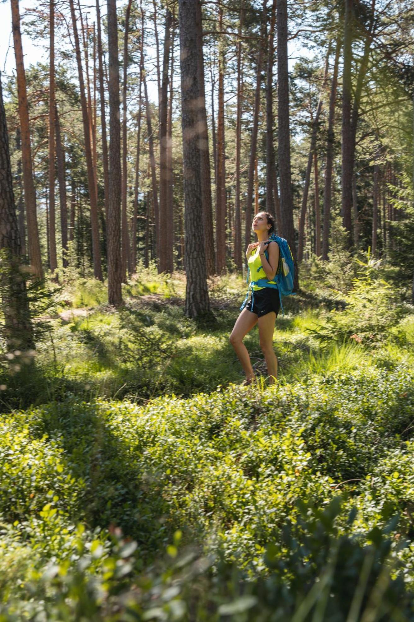 Wellnesshotel Erica Nova Ponente Zewnętrze zdjęcie