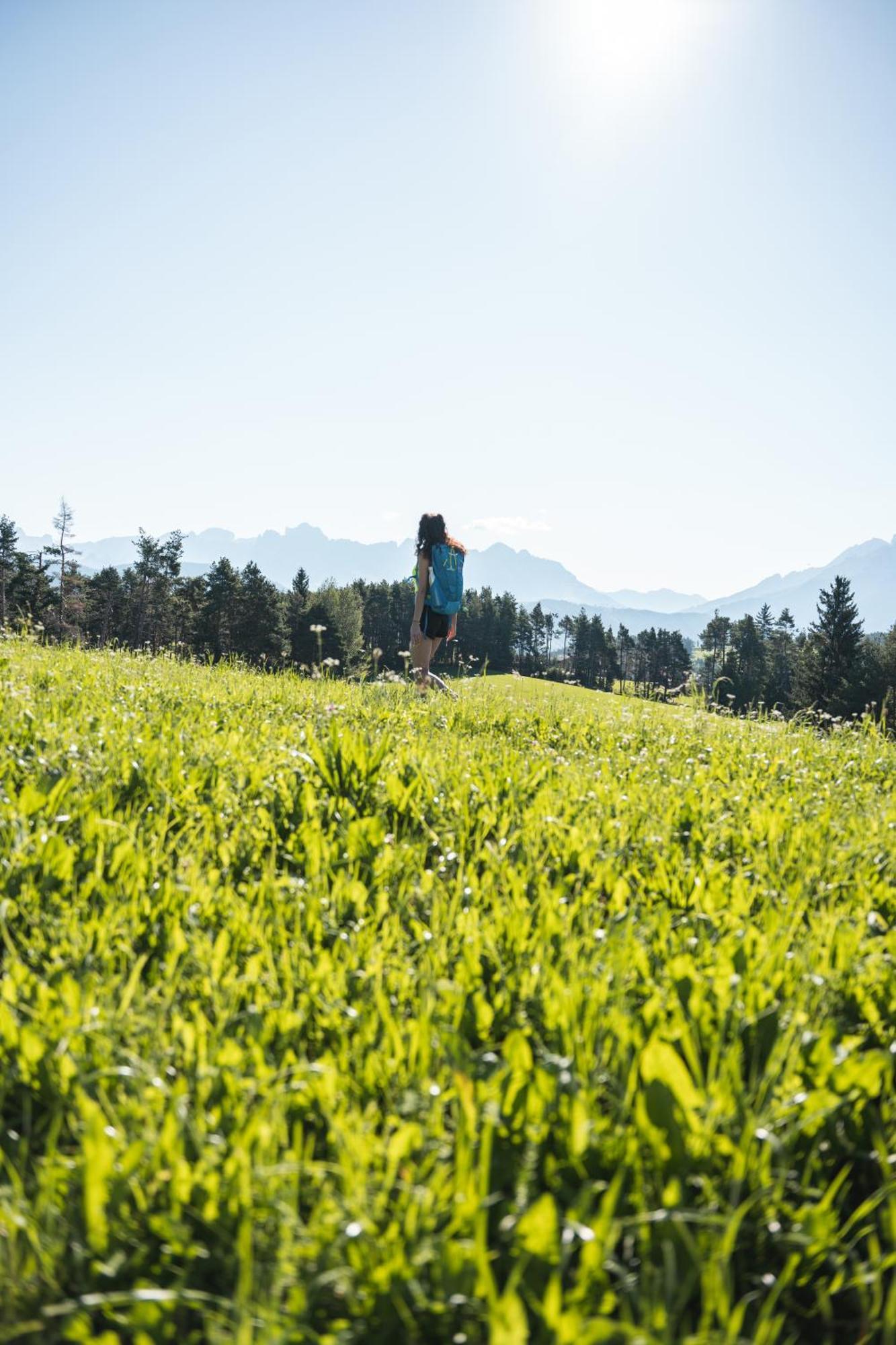 Wellnesshotel Erica Nova Ponente Zewnętrze zdjęcie